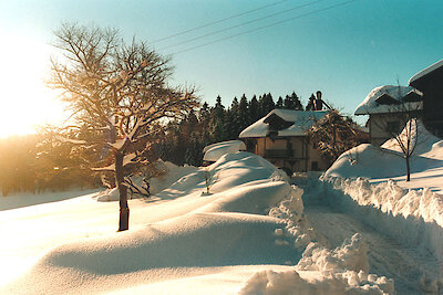 Winterurlaub im Bayerischen Wald